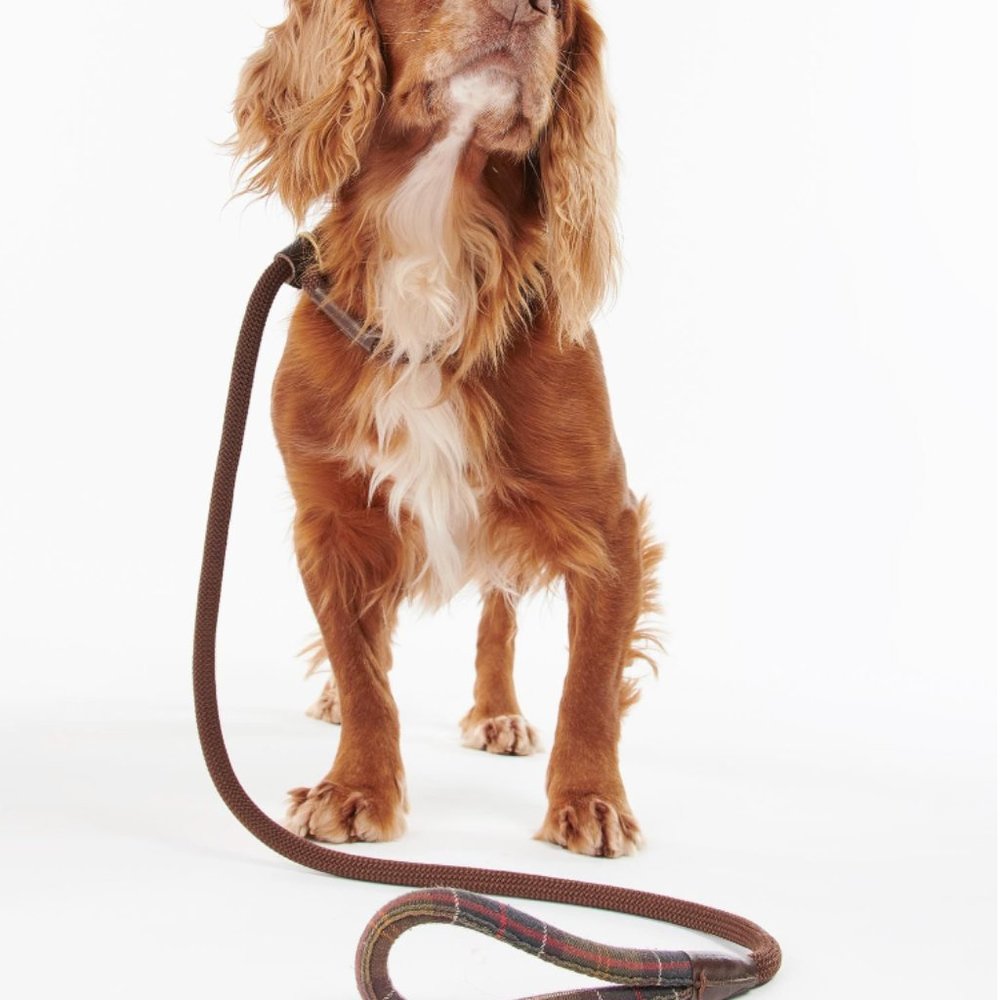 BARBOUR DOG Tartan Trimmed Slip Dog Leash MSRP$60 Great Gift !